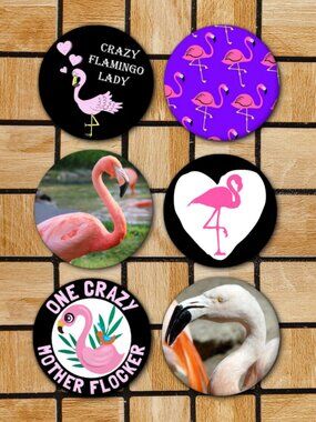 Flamingo Fridge Magnets Set Of 6 Metal Magnets For Home Office Kitchen School